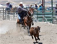 Bell finishes fourth in steer wrestling at national finals