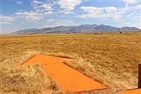 Lovelock’s arrow points to the past