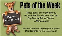 Humboldt County Pets of the Week 