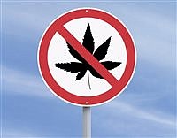 Commission prohibits   “marijuana establishments”