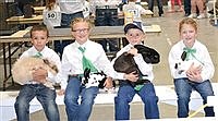 Humboldt County 4-H Small Animal Show Results