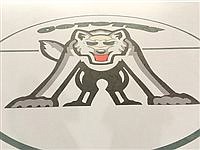 Kings River Valley Community Hall gets new gym floor