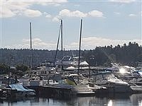 Leschi, Lakewood moorage replacement could start next spring