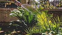 Be water wise during summer months
