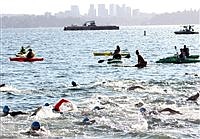 Fat Salmon Swim making waves in Lake Washington