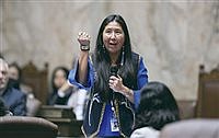 Senate committee to consider bill regulating school use of Native American mascots