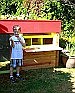 Architect flies coop to create garden home for chickens