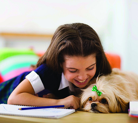 PAWS AND REFLECT | Learning to read with the help of therapy dogs