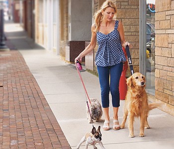 PAWS AND REFLECT | Let professionals help you take care of your pets