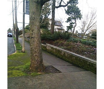 City pushes to fix sidewalks