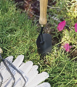HEALTHY AND ACTIVE | Growing a beautiful (and pain-free) garden