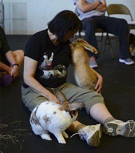 AMONG THE ANIMALS | Hoppy hour