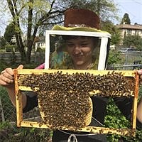 Seattle honey maker busy as a bee