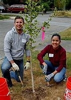Blackberry removal work party in Madison Park on Mother's Day