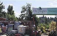Change is hard! | Another perspective on the proposed PCC Market