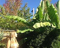 Tease photo