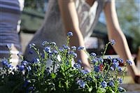 Practice good yard work habits to save your body