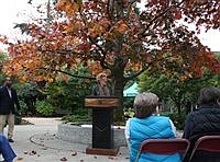 Julia Lee's Park transferred to Seattle Parks and Recreation