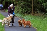 Antidotes to aging