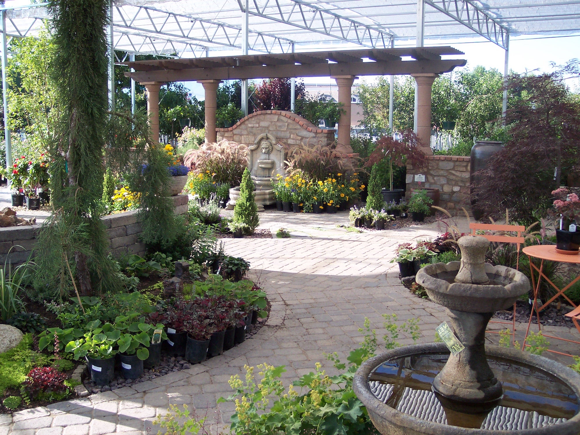 Northern Nevada nurseries see blooming demand as pandemic produces more