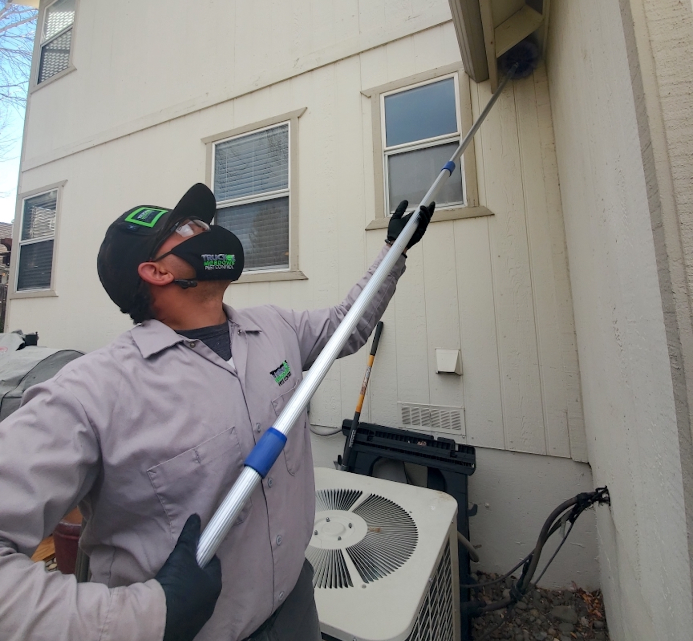 Business buzzing for Northern Nevada pest control companies Serving