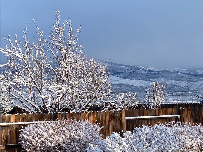 Sharon Calvert caught this early morning photo of the snow fall on Friday at her East Valley Home.