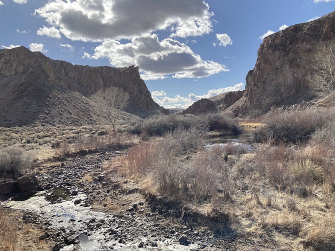 Wilson Canyon Nature Trail follows along a section of the Walker River in Yerington. (Photo: Kyler Klix/Nevada Appeal)