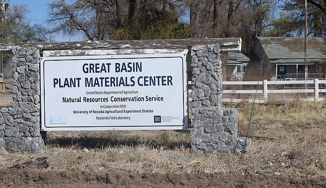 A University of Nevada, Reno Experiment Station is located in Churchill County.