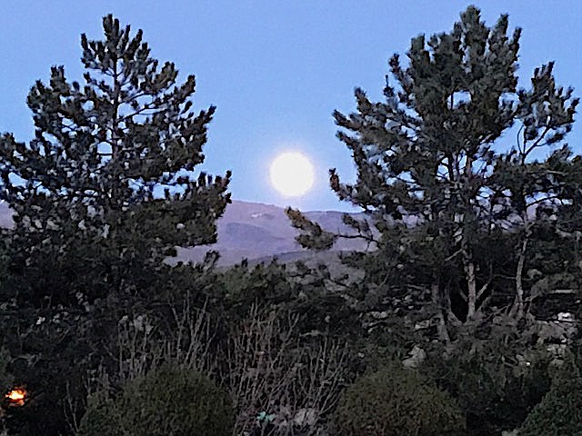 Carson Valley resident Phyllis Holmes took this photo of the full moon rising last night.