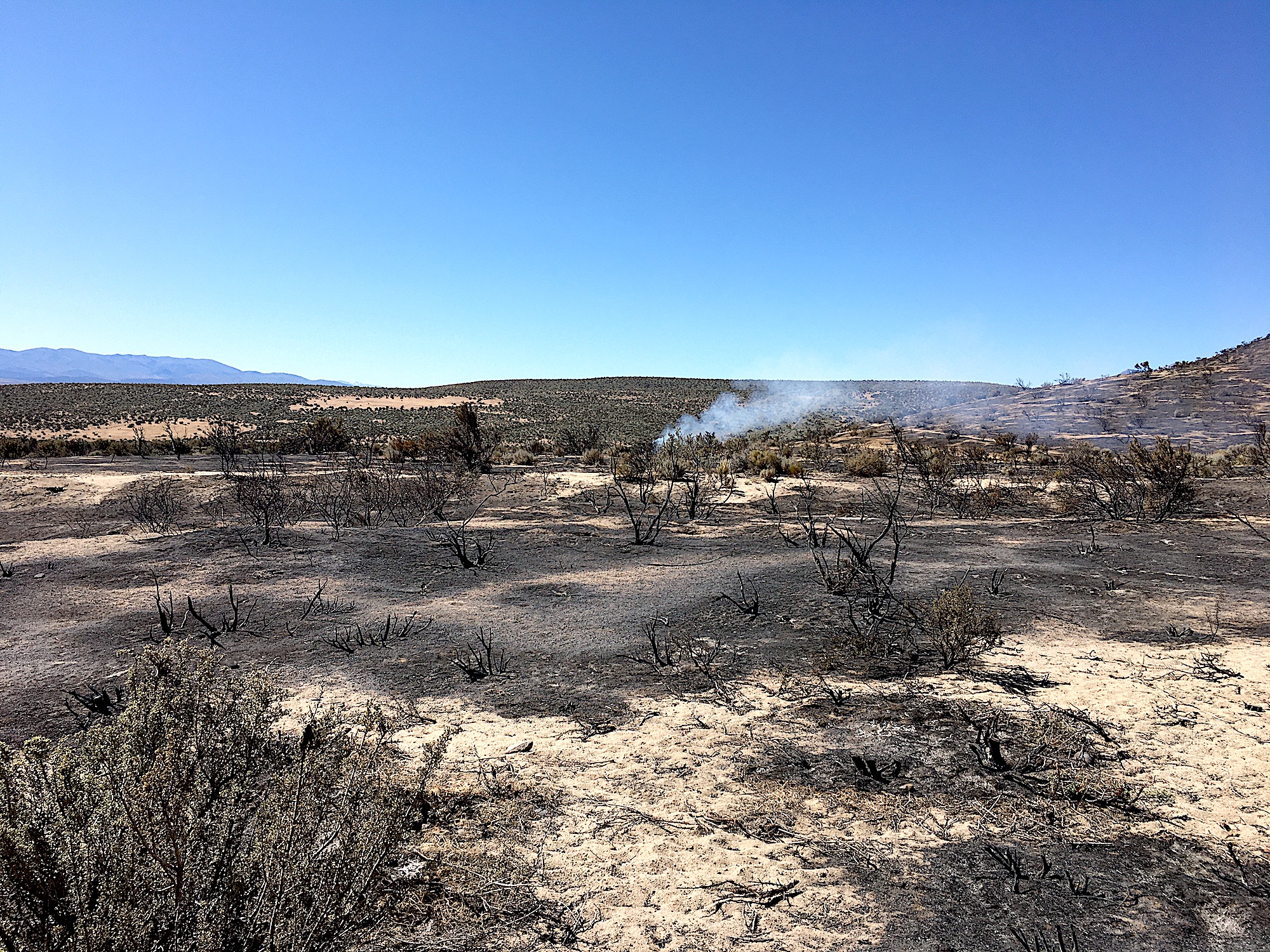 Jacks Valley fire a clear warning sign | Serving Minden-Gardnerville ...