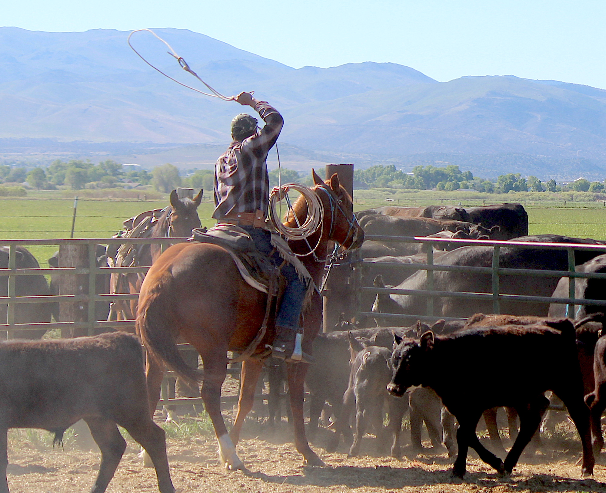 Parks propose meat plant off Buckeye Serving MindenGardnerville and