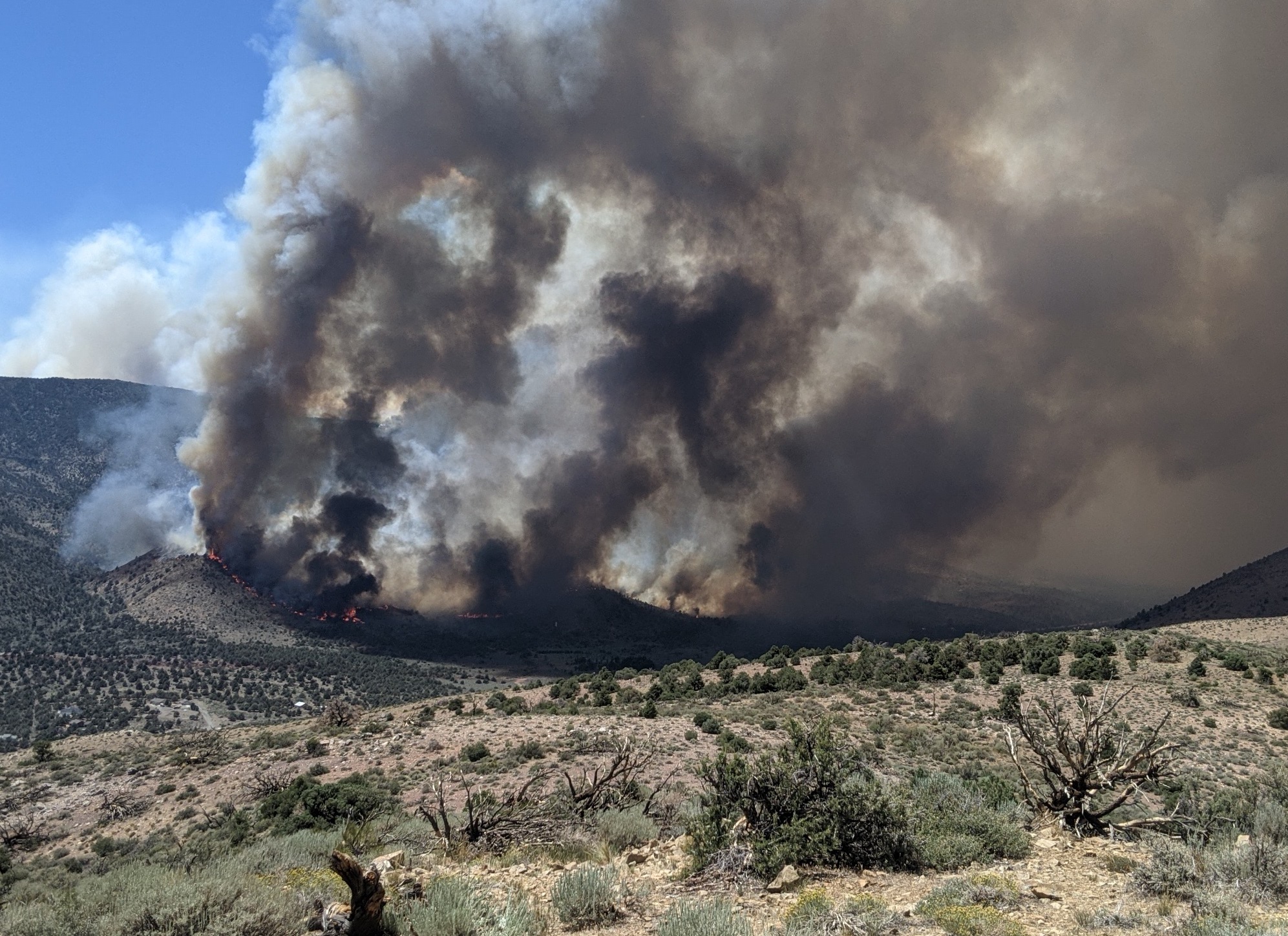 3:45 p.m. Thursday Tamarack Fire Update: Flames reported on both sides of Highway 395 - Vimarsana News