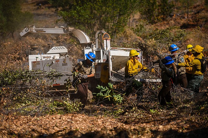 Members of Emergency Wildfire Forest Management Project construct shaded fuel breaks by hand pruning vegetation to minimize fire risk in the Sierra Foothills in Colfax, Calif., on July 31, 2019. (Daniel Kim/The Sacramento Bee via AP, Pool)