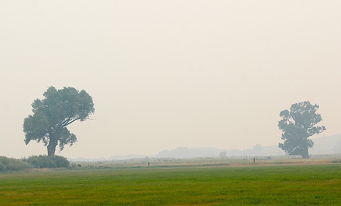 Trees fade into the smoke on Monday afternoon just east of Genoa.