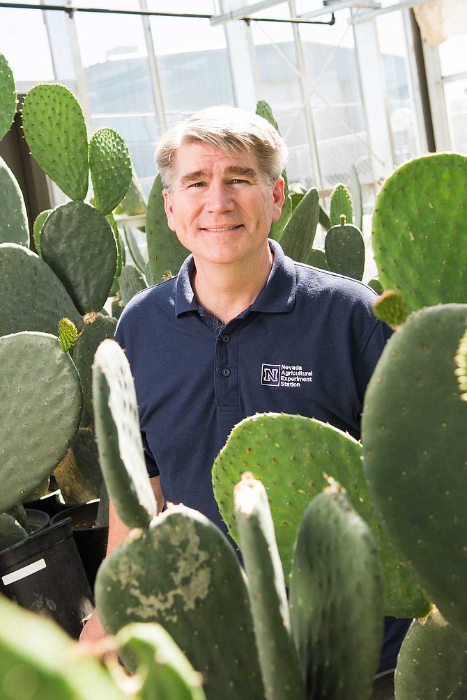 Professor John Cushman is researching ways to improve drought tolerance and water-use efficiency in crops by using traits from certain plants such as cactus.
