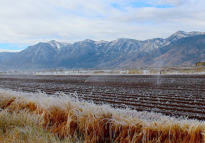 If anyone needed confirmation that the temperatures are dropping below freezing, here's a little homemade pogonip from Wednesday morning on a field along Highway 395 north of Minden.