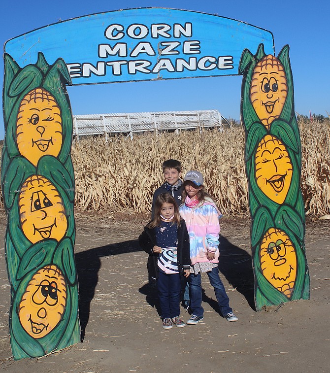 Ayden, back, Brooklyn, front left, and Izzy check out the corn maze at Lattin Farms on Saturday.