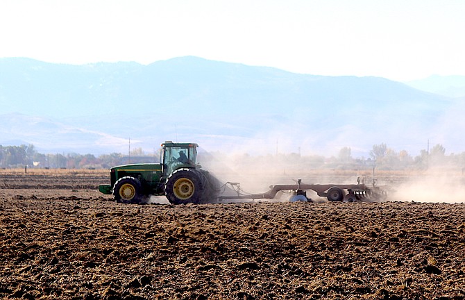 Workers have been tilling the field south of Genoa Lane near Highway 395. Typically, that's a precursor to planting garlic. Next step would be setting up the big sprinklers.