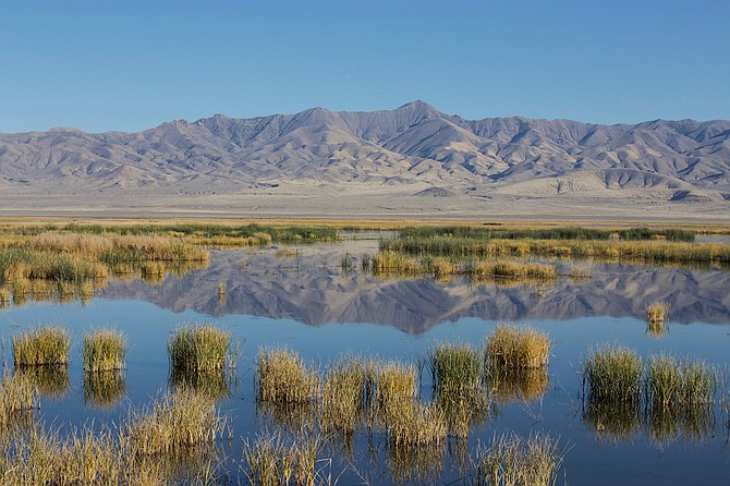 The Stillwater marsh is one of the features of the wildlife refuge northeast of Fallon.