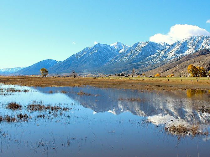 Jobs Peak is reflected in a flooded field north of Muller Lane on Wednesday morning.