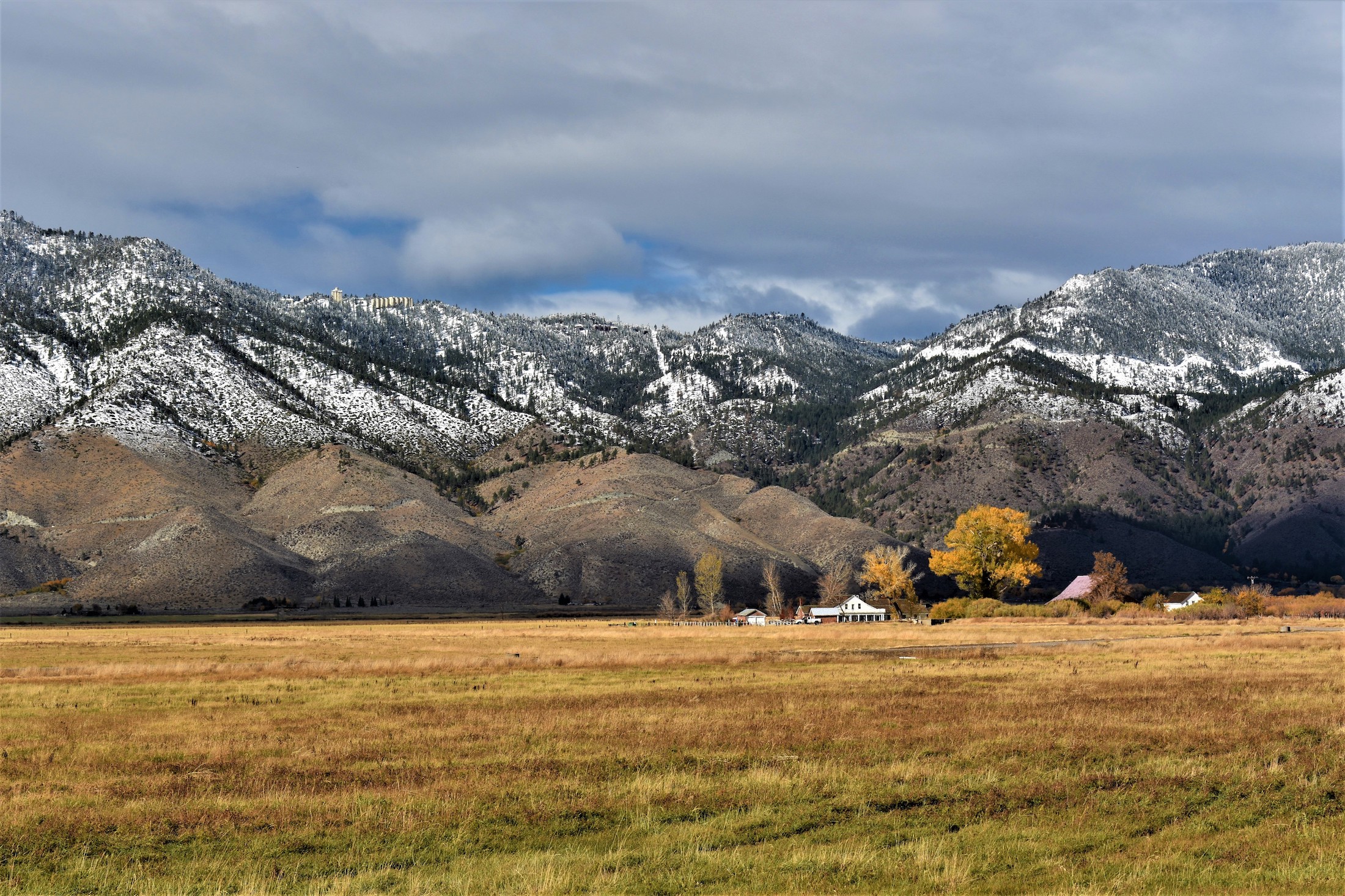 Conservation easements on 1,800 acres in Carson Valley making progress