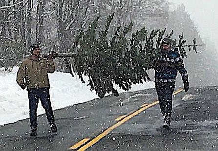 Christmas tree cutting permits go on sale at Lake Tahoe on Wednesday. You can find a permit at www.recreation.gov and search for Lake Tahoe or Humboldt-Toiyabe.