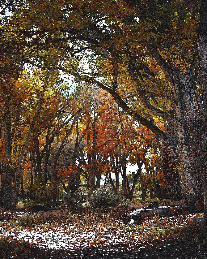‘A Touch of Snow’ taken by Nancy Hulsey won first place at the November Photo Club meeting.