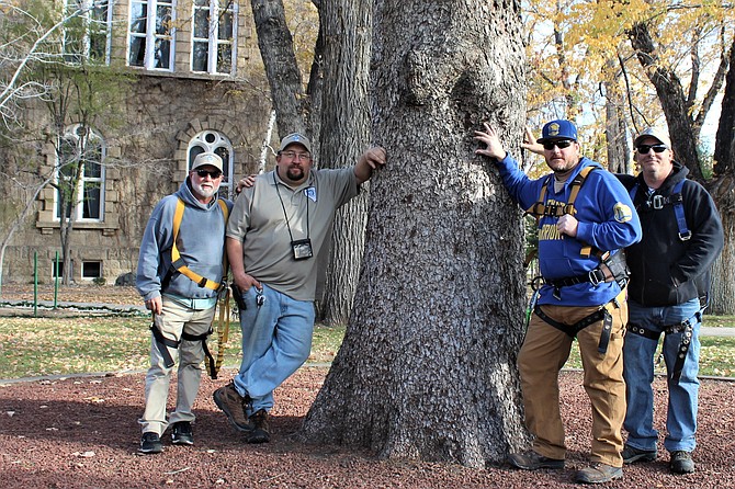 Ronni Hannaman
This year the official Capitol Grounds Christmas Tree will pass the lights to a younger tree. Shown here bidding farewell to the over 100 year old tree is the loyal Nevada State Buildings and Grounds crew giving a pat to this mighty tree. From left: Darin Huizer, David Van Ornum, Phil Nemanic and Michael Carpenter.