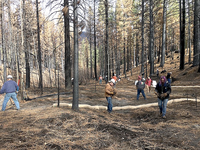 Volunteers seed the Musser and Jarvis drainage after the devastating Tamarack Fire burned through. Photo by Kimra McAfee