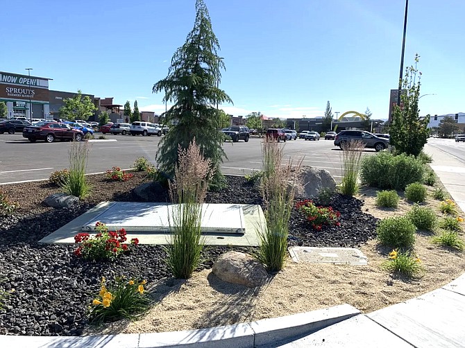 Omega Landscape Solutions won awards for landscape construction and maintenance for work done on the Reno Public Market redevelopment project at the former Shopper’s Square.
