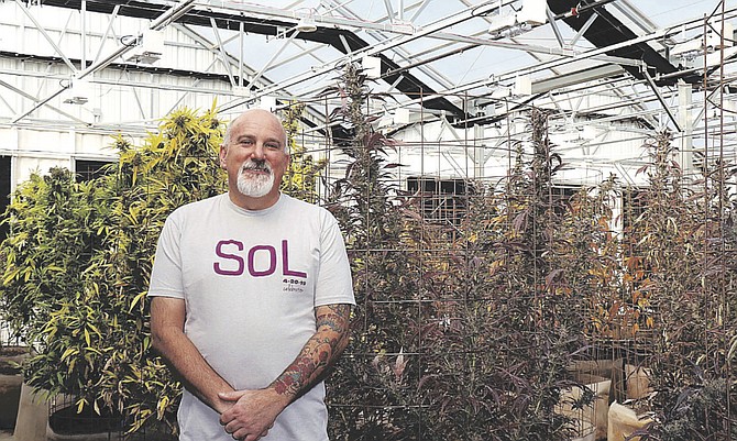 Ed Alexander, master grower and owner of SoL Cannabis in Washoe Valley, stands inside the company’s 25,000-square-foot greenhouse.