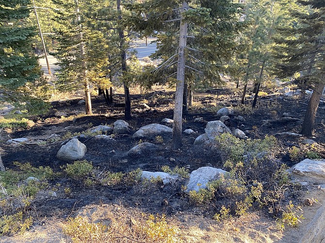 An example of how open burning treats forests near homes posted by the Tahoe Douglas Fire Protection District on Dec. 2