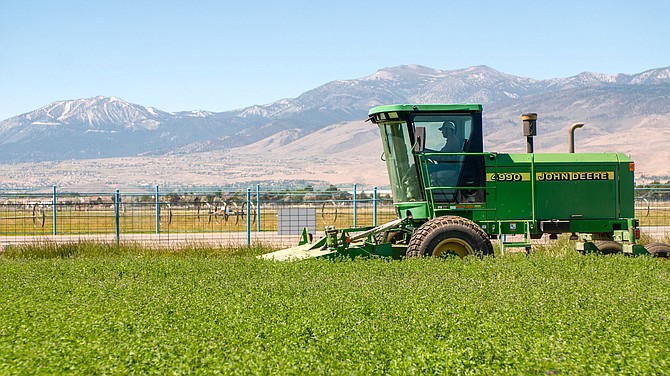 Alfalfa grows in a field in Northern Nevada. The new dual-degree program in agricultural science and economics is aimed at growing the state’s ag industry.