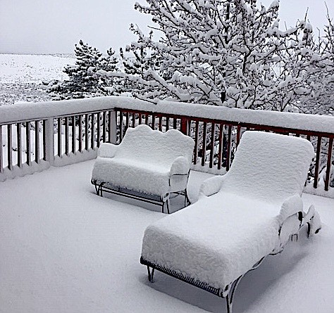 Brenda Roberts deck in Alpine View includes some comfy looking cushions thanks to Tuesday's snowfall.